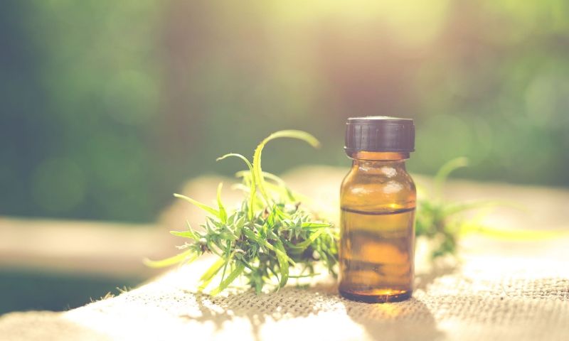 cannabis branding advertising marketing agency digital online